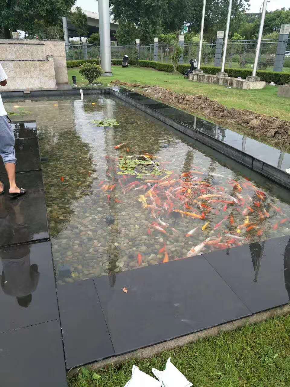 鱼池水处理