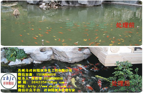 景观鱼池生物过滤系统