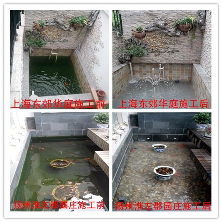 鱼池水净化前后对比