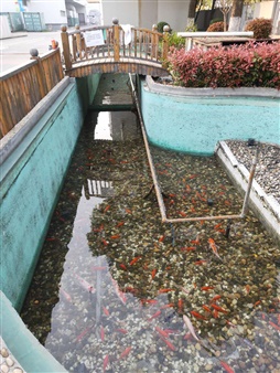 鱼池水处理