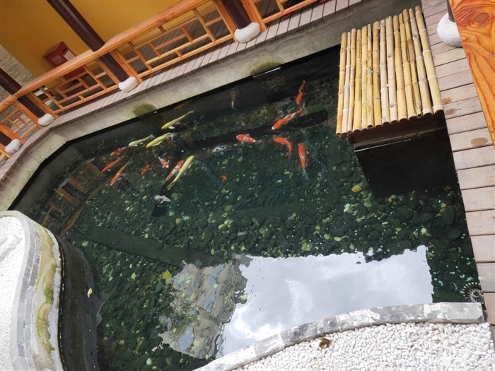 鱼池水处理